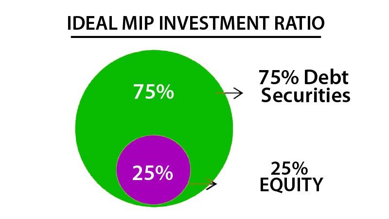 MIP Investment